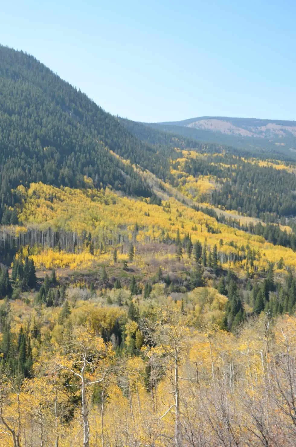 8953 napa valley honeymoon