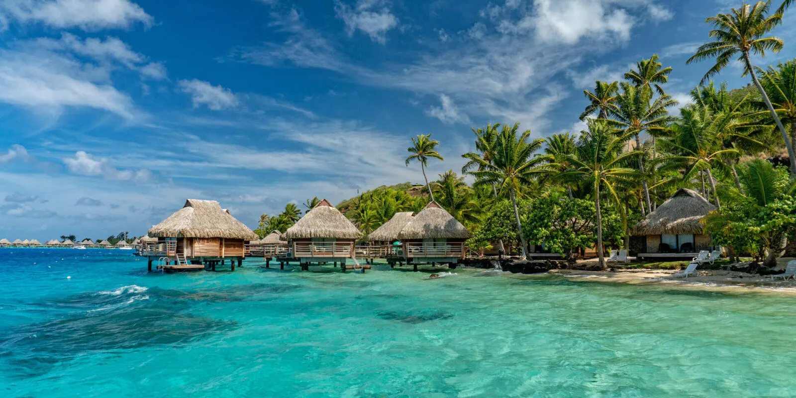 8954 tuscany honeymoon