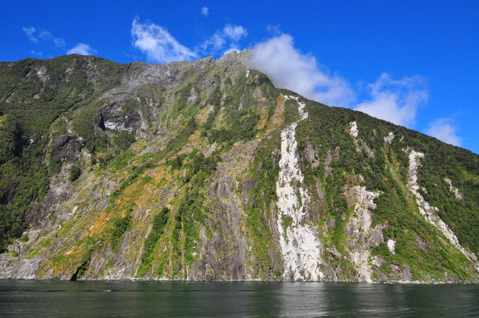 8955 milford sound cruise