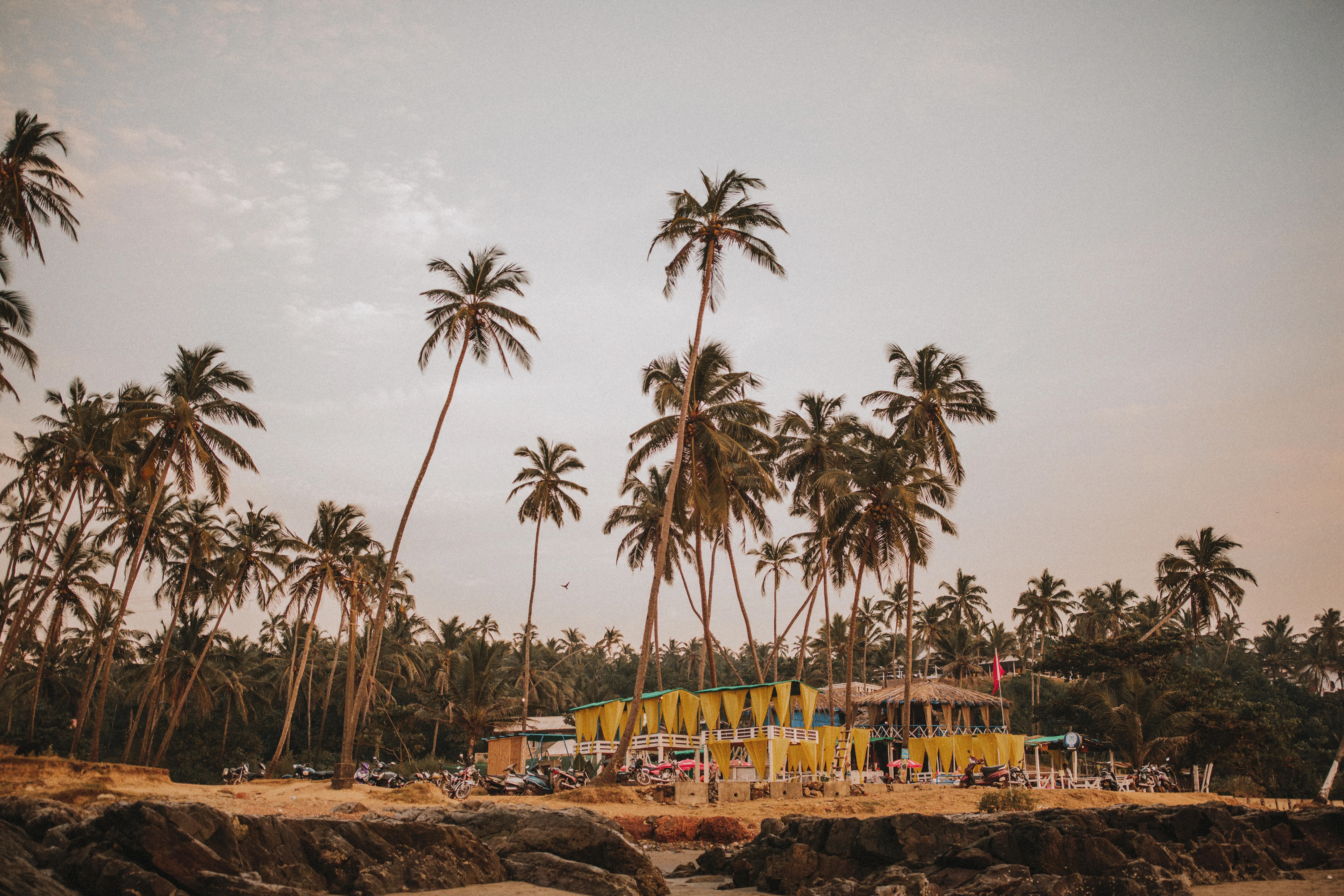 8959 leela goa honeymoon