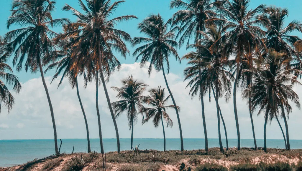 8960 tropical resort