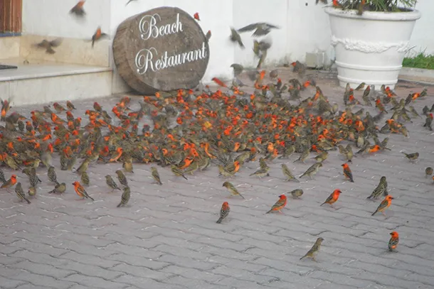 8971 seychelles honeymoon august spa