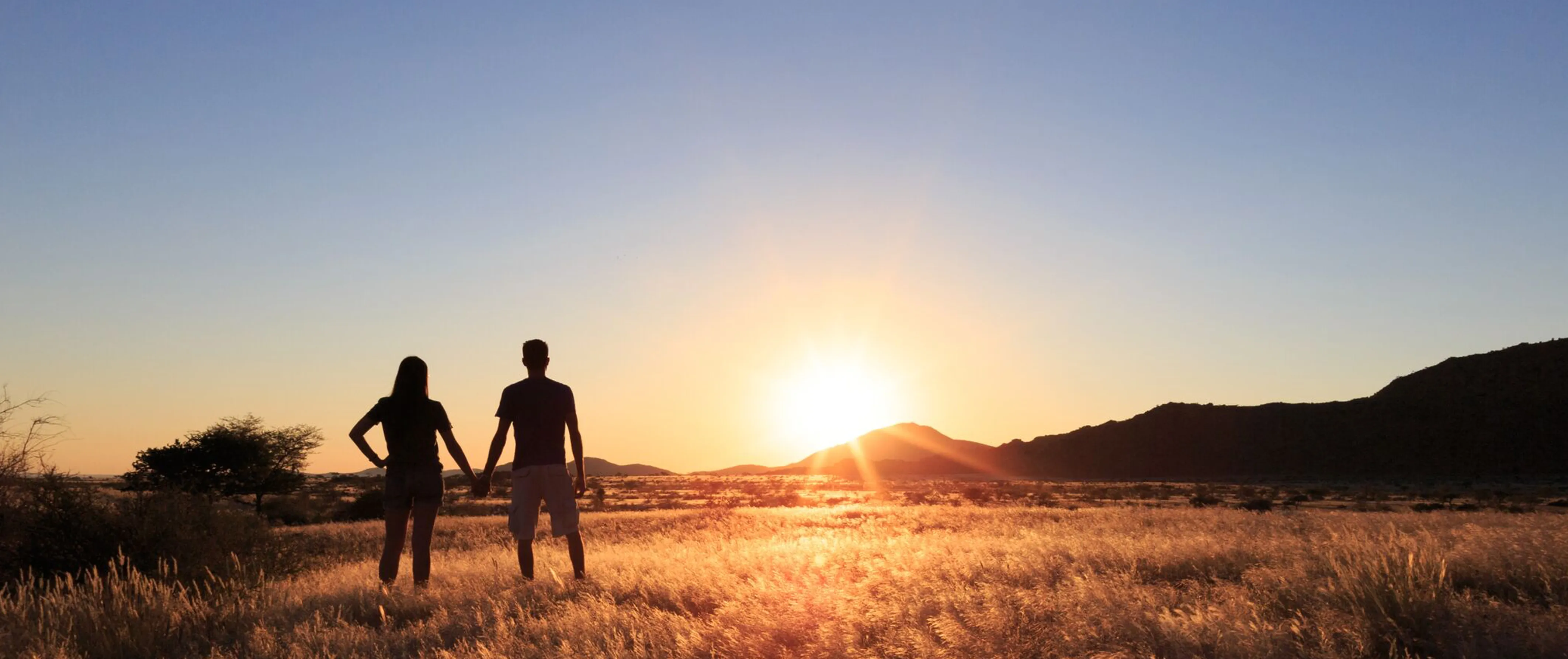 8977 elephant safari