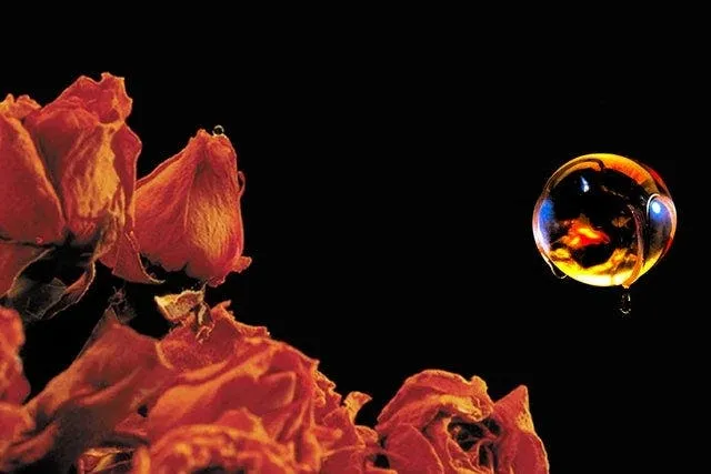 8978 distress signal flare