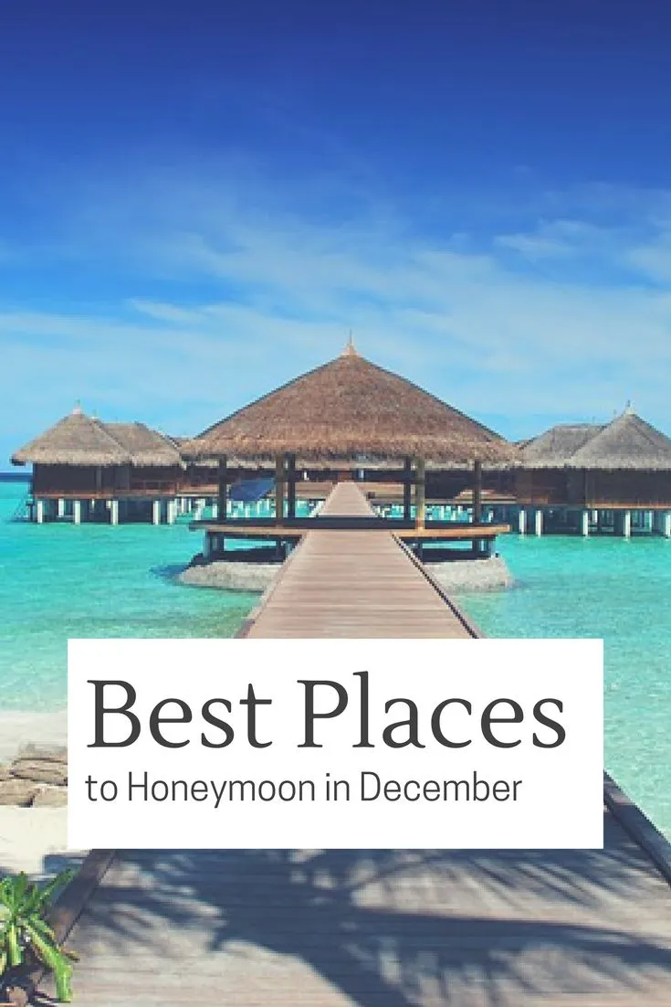 8983 december honeymoon