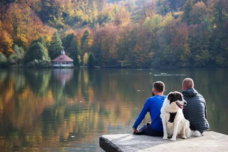 9014 packing essentials