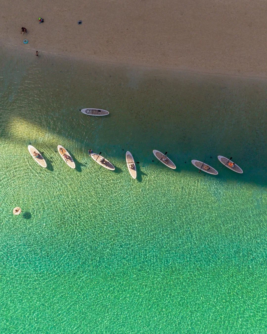 9017 mauna kea stargazing
