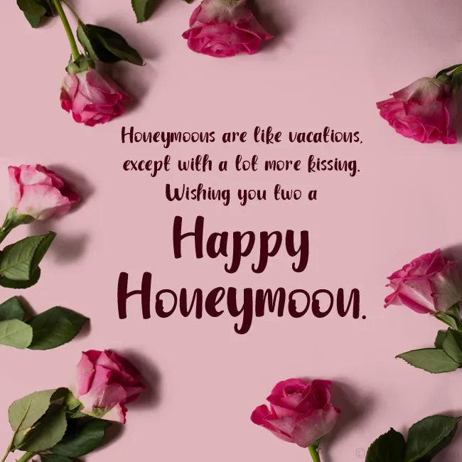 9028 romantic dinner honeymoon