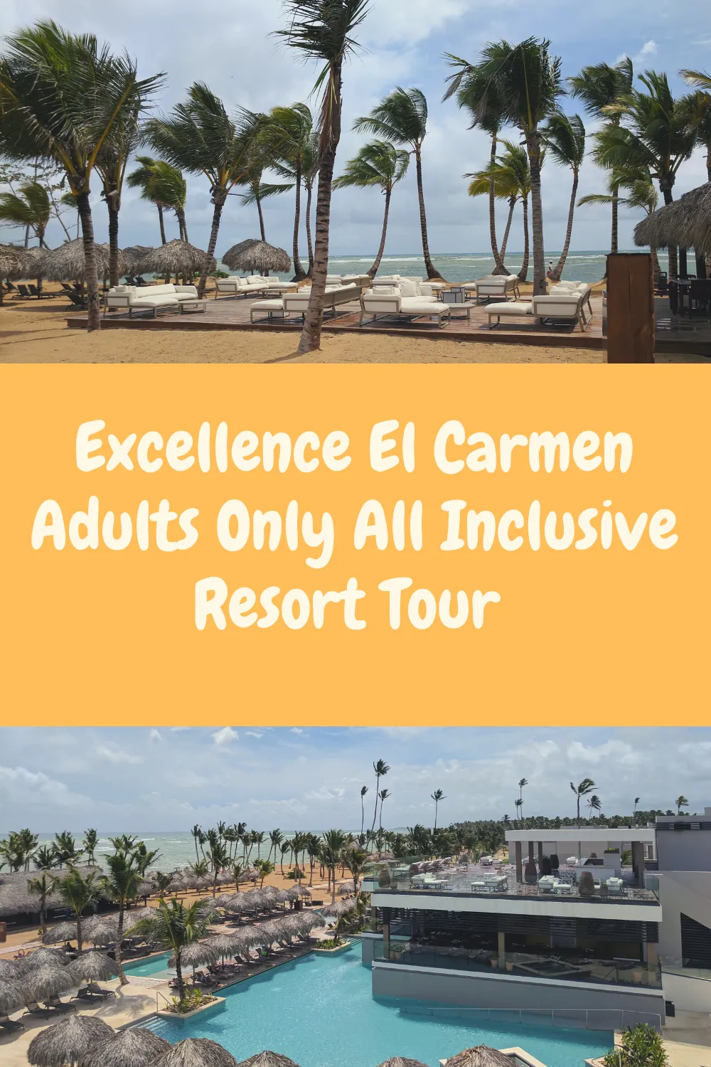 9031 secrets wild orchid