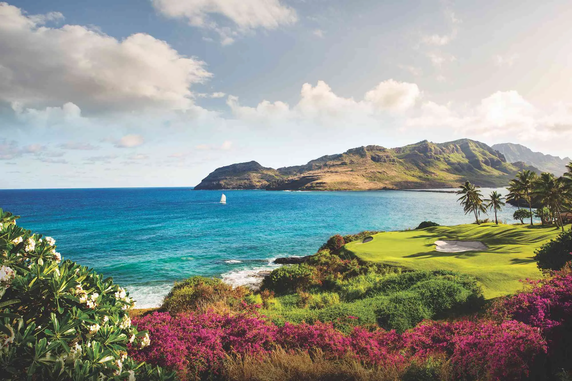 9032 st regis princeville