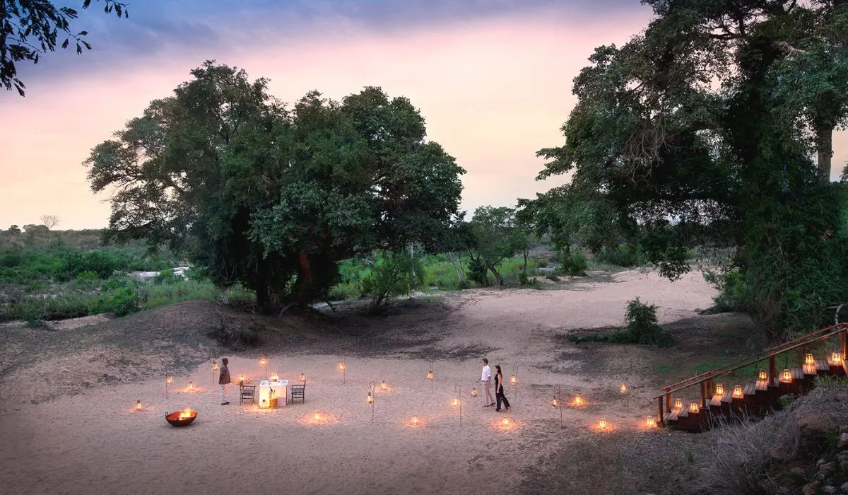 9051 cape town honeymoon