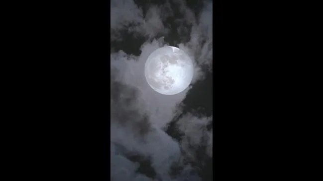 9053 honeymoon roadtrip