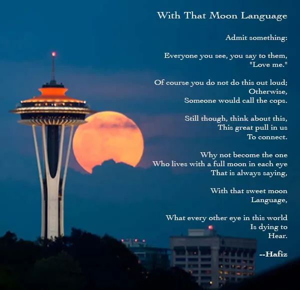 9053 traveling couple honeymoon