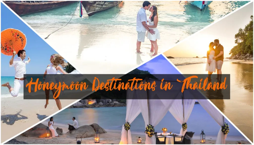 9055 koh samui beach