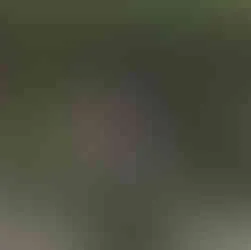 9059 mexico honeymoon cocktails