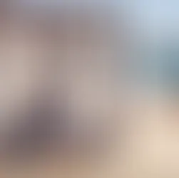 9059 mexico honeymoon dinner