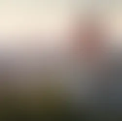 9059 san miguel de allende street