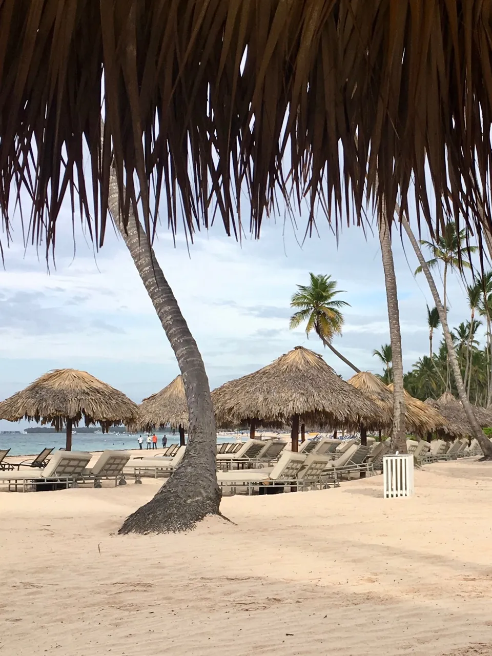 9061 beach sunset punta cana