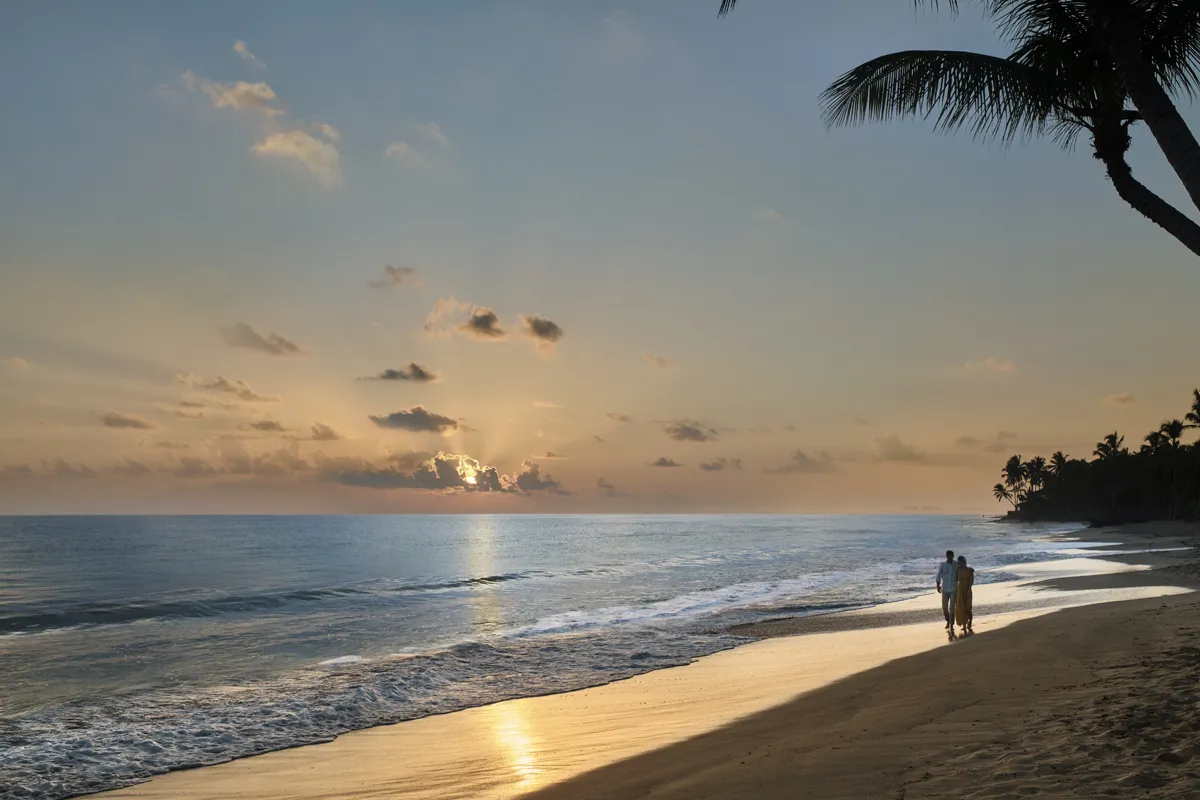 9061 excellence punta cana