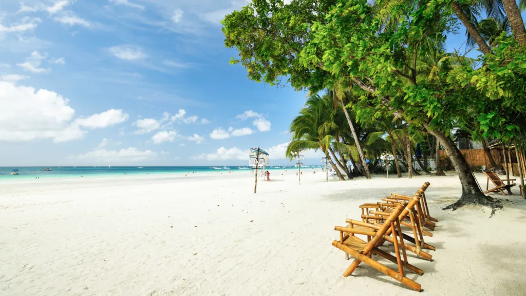 9066 bohol honeymoon