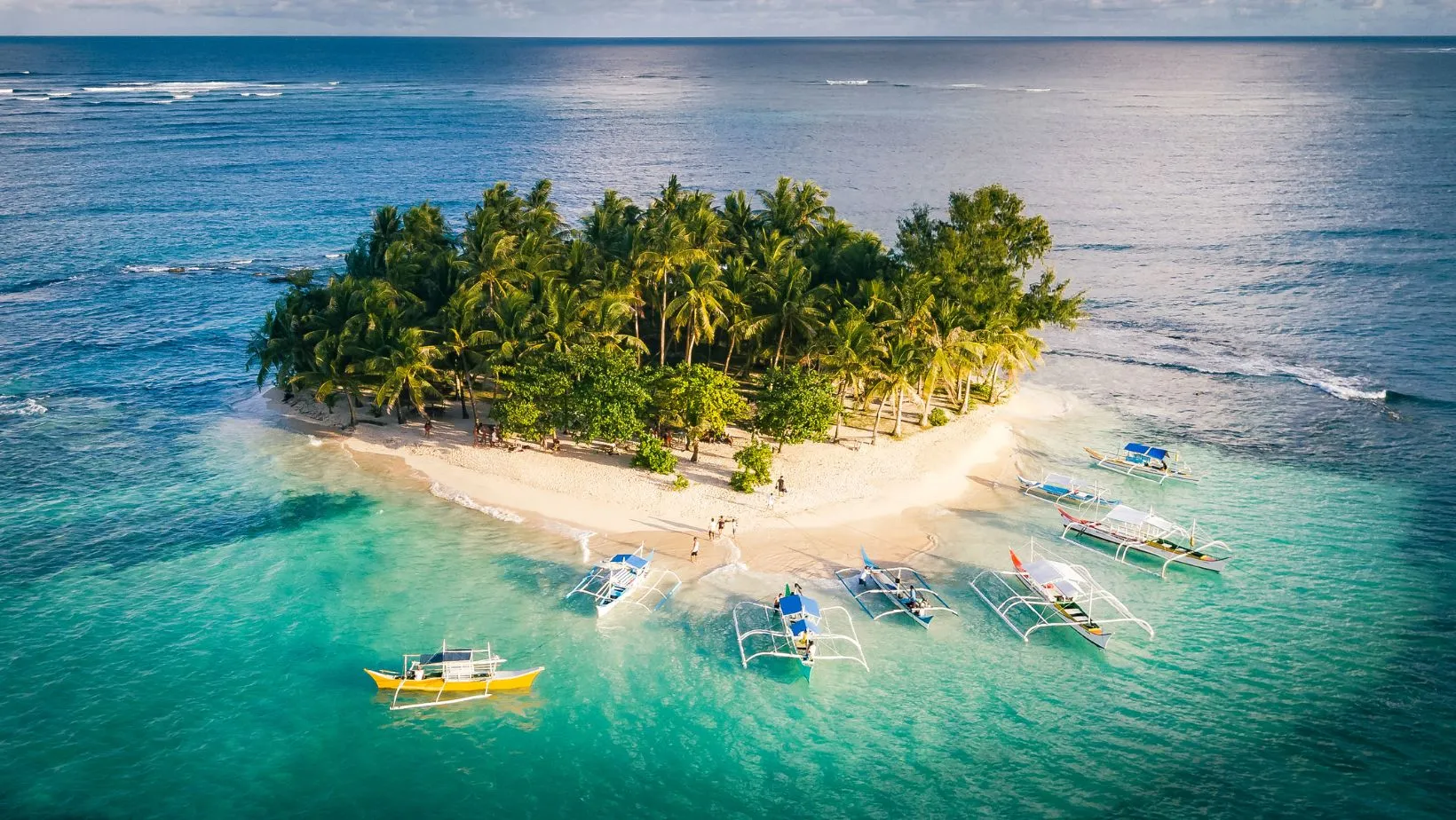 9066 malapascua diving