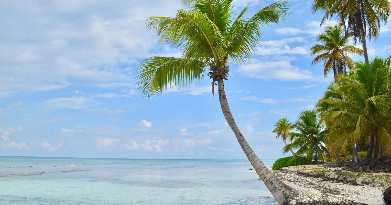 9073 caribbean honeymoon image6