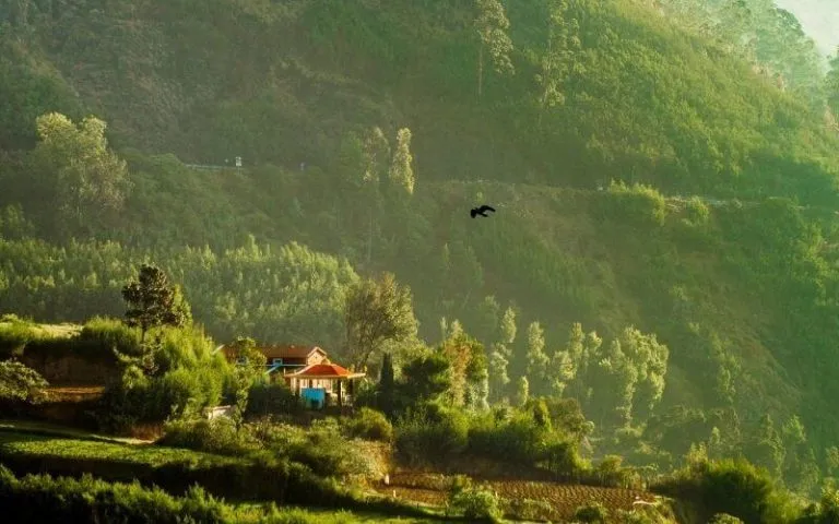 9102 savoy hotel ooty