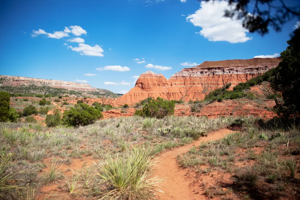 9104 south padre island honeymoon