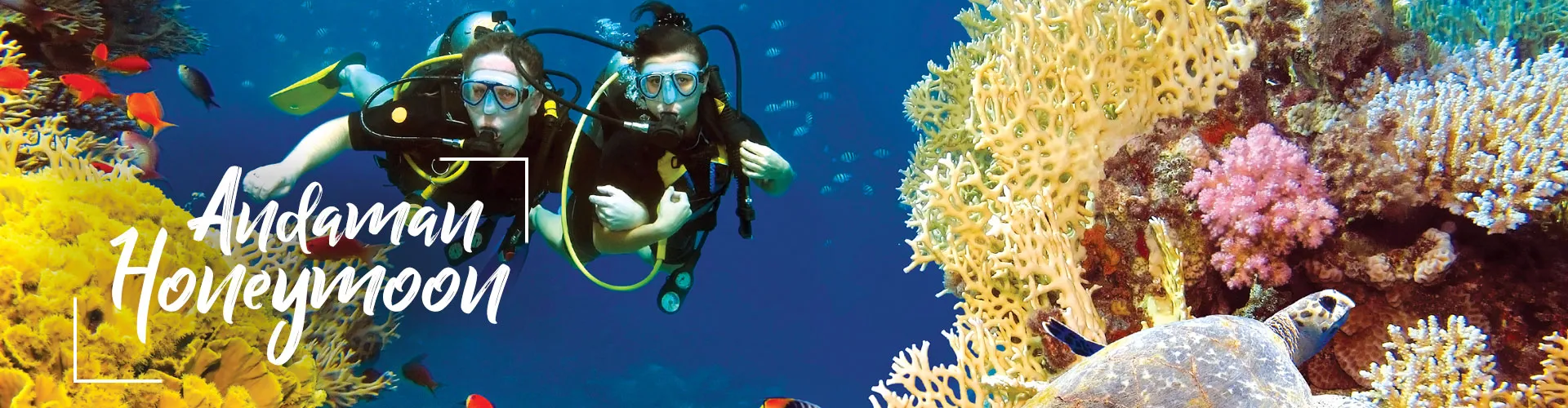 9106 andaman scuba diving