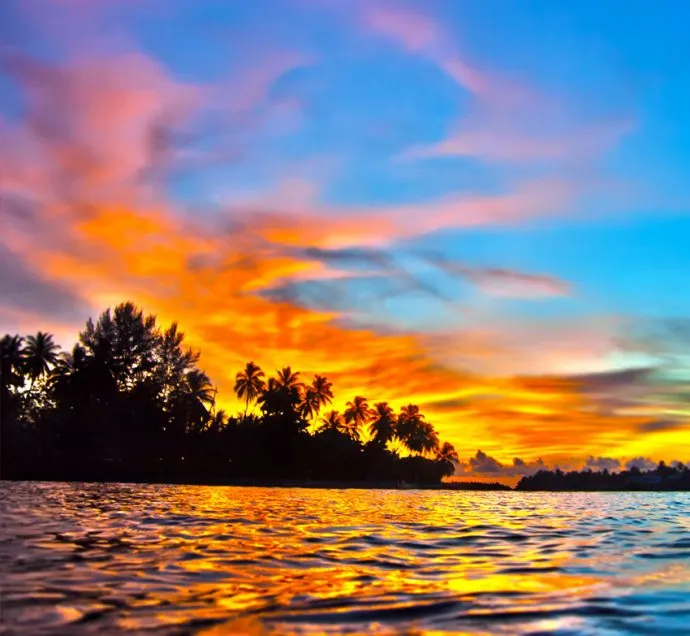 9111 kyoto honeymoon