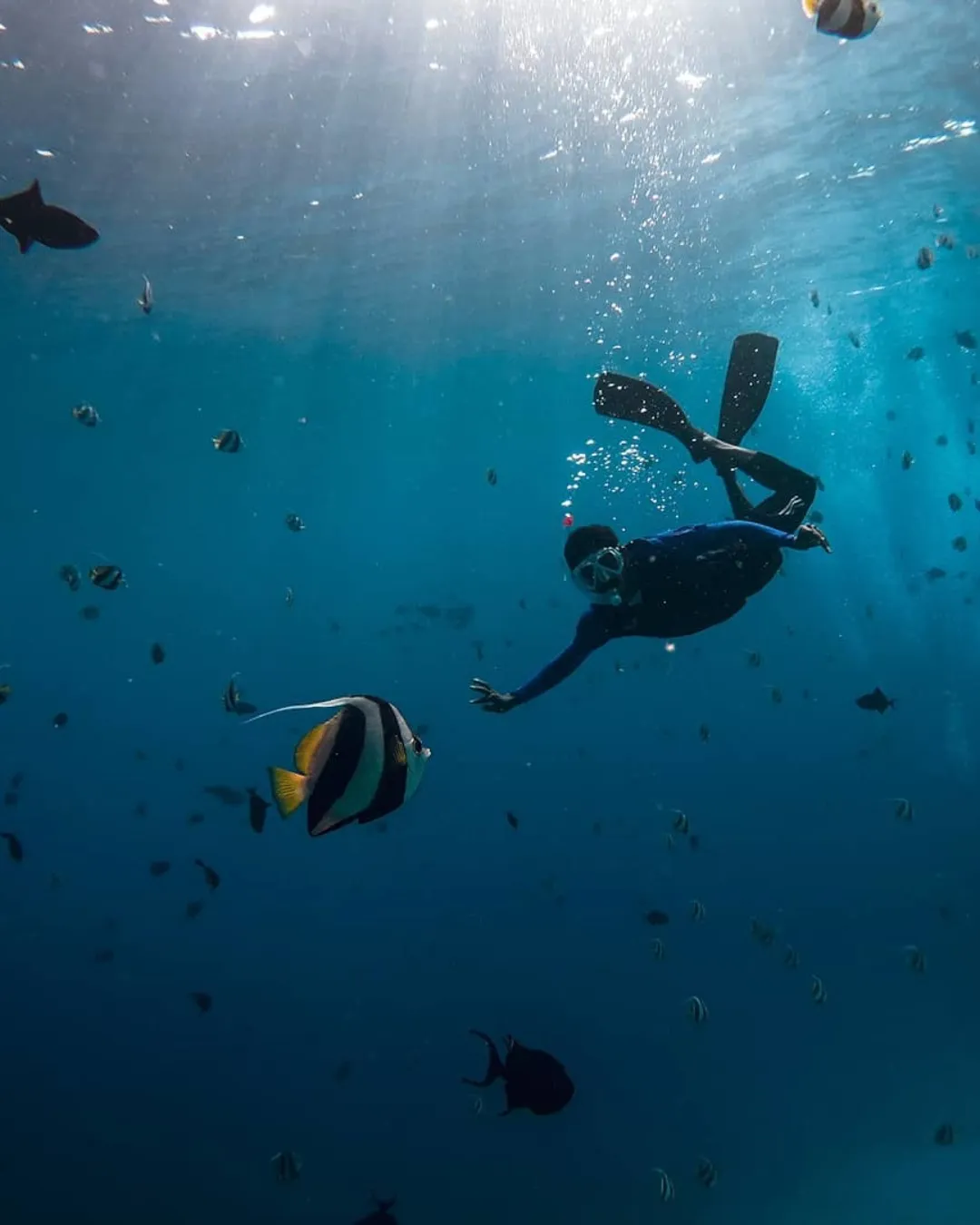 9119 maldives honeymoon couple