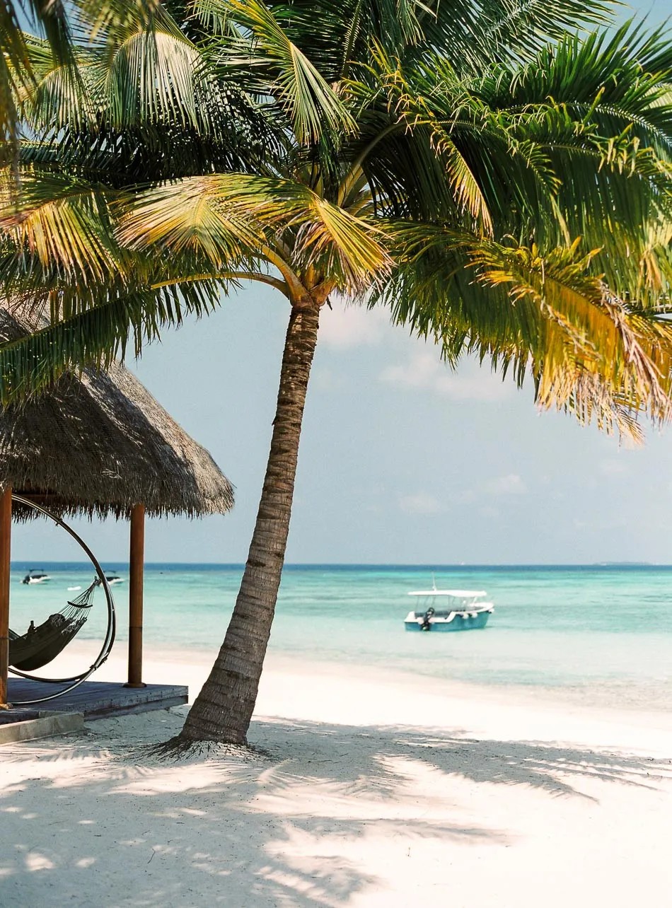 9119 maldives honeymoon sunset cruise