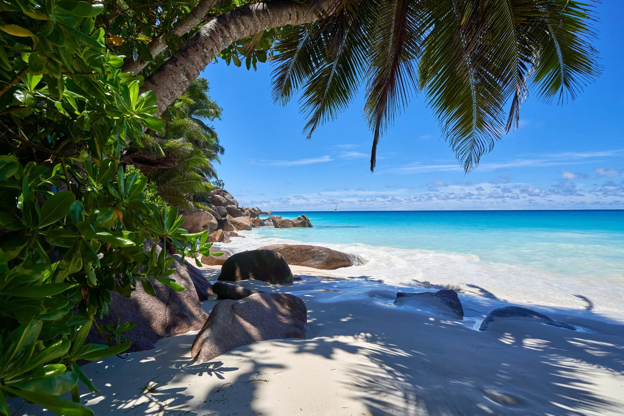 9131 seychelles beach