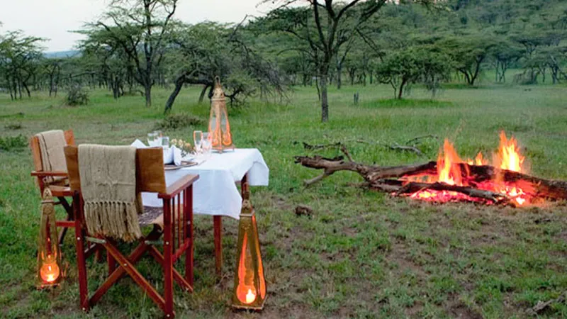 9133 maldives honeymoon