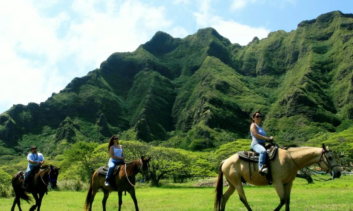 9151 hawaii sunset beach