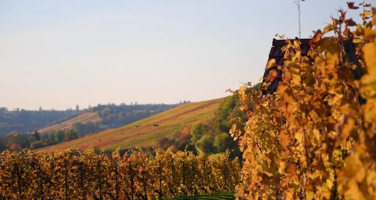 9172 couple beach october