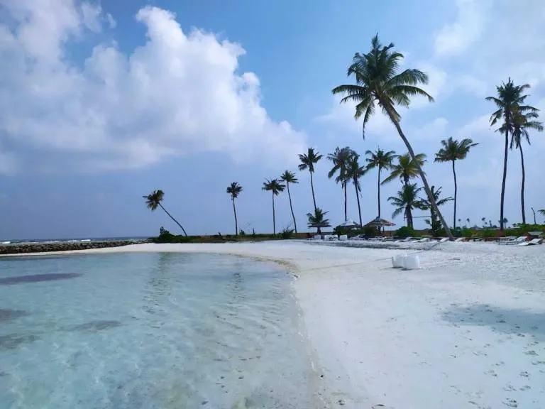 9172 honeymoon activities