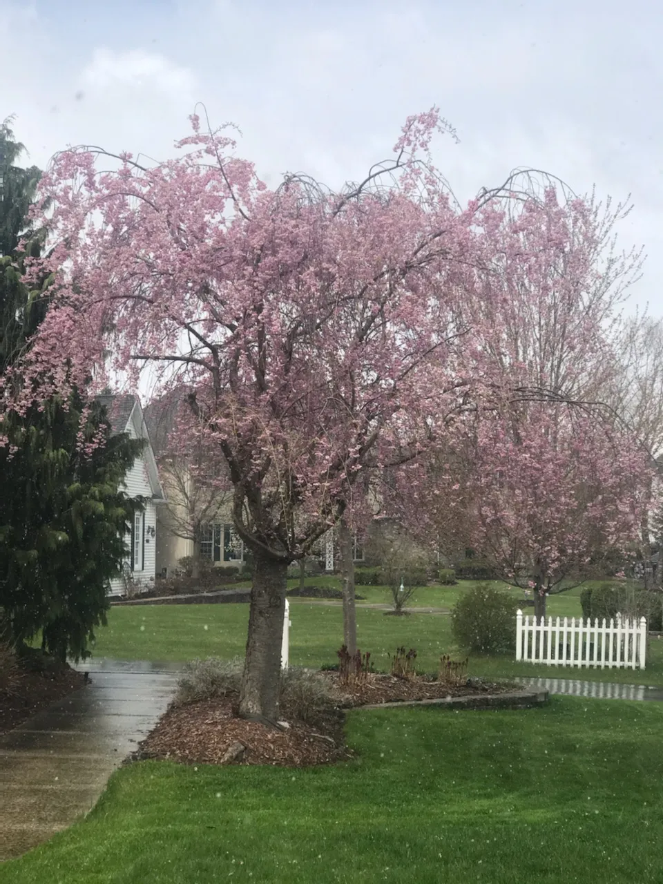 9176 destination 4 hotel