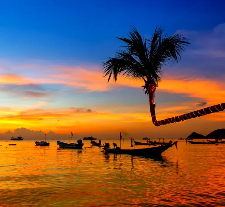 9185 booking flights