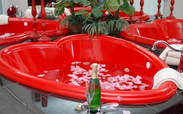 9202 honeymoon hills cabin pet