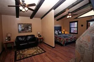 9202 honeymoon hills cabin views