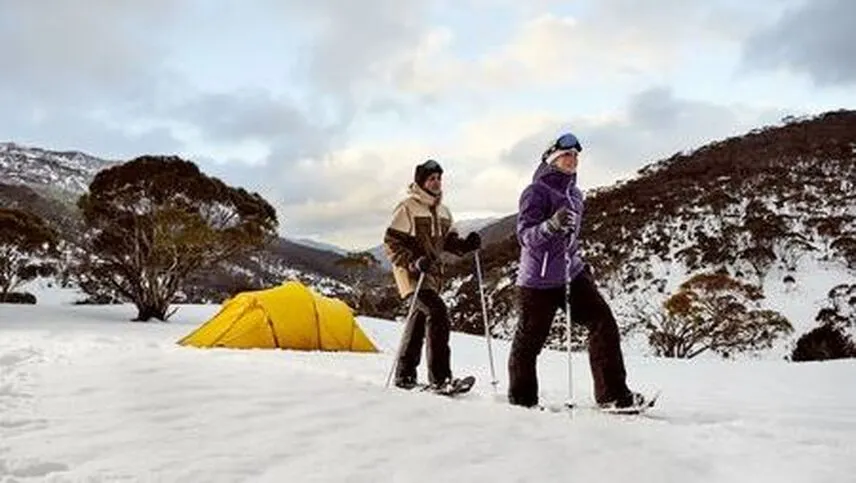 9207 package 5 image