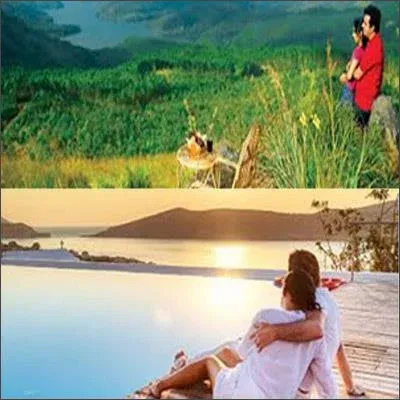 9215 manali honeymoon