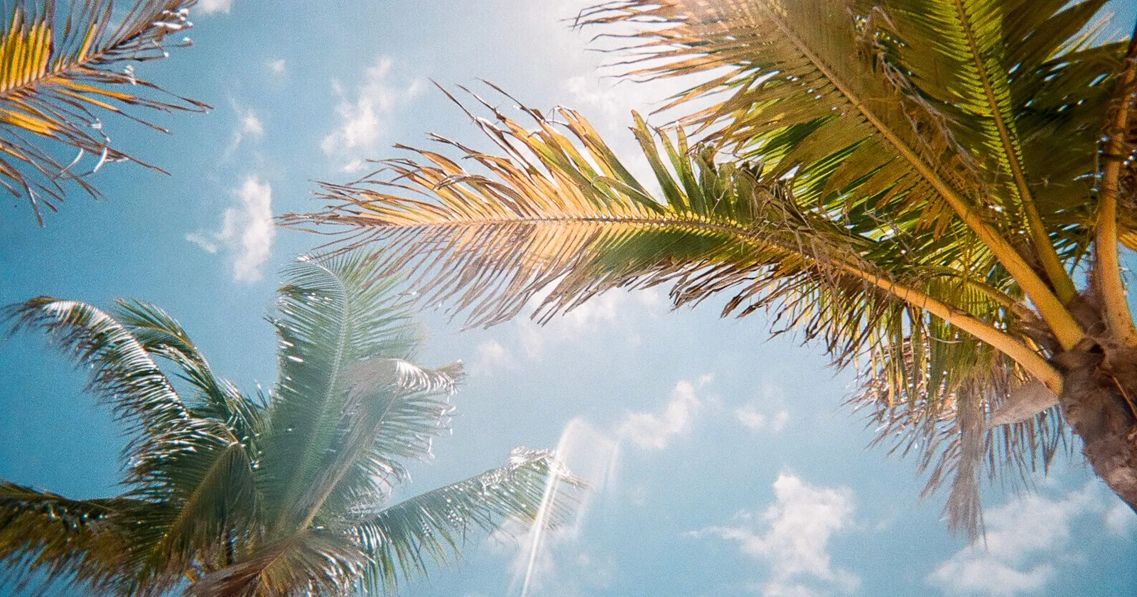 9225 little palm island