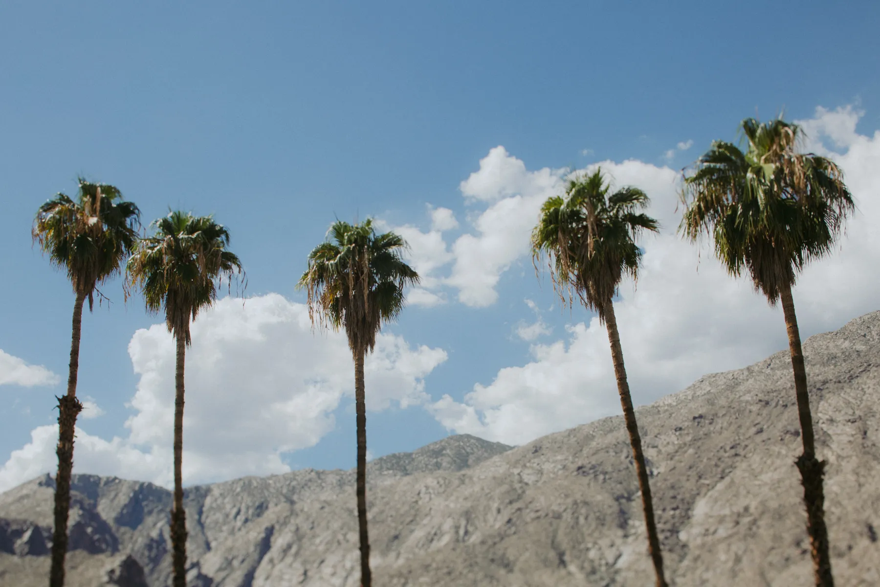 9228 palm springs couple hiking