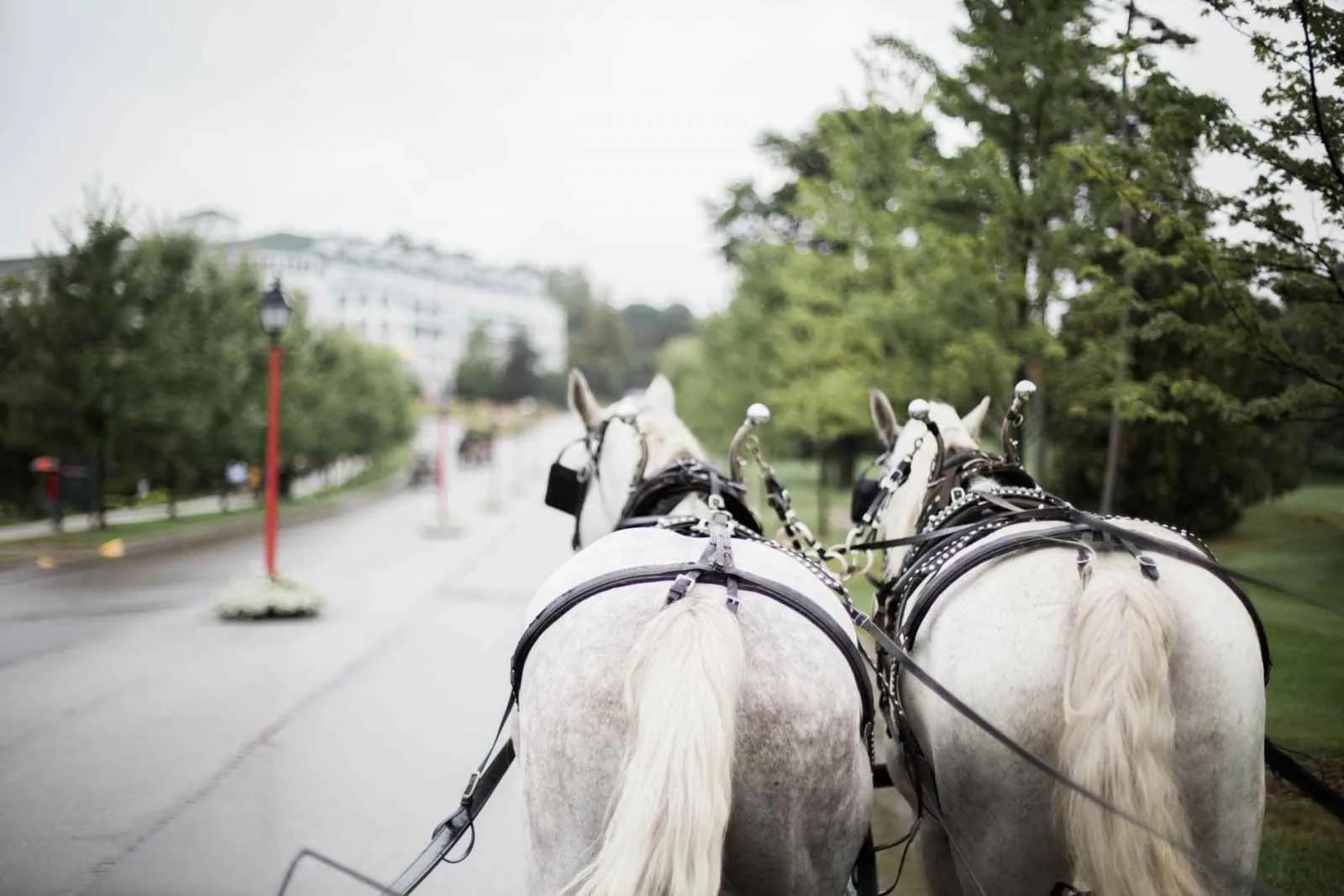 9231 romantic midwest dining