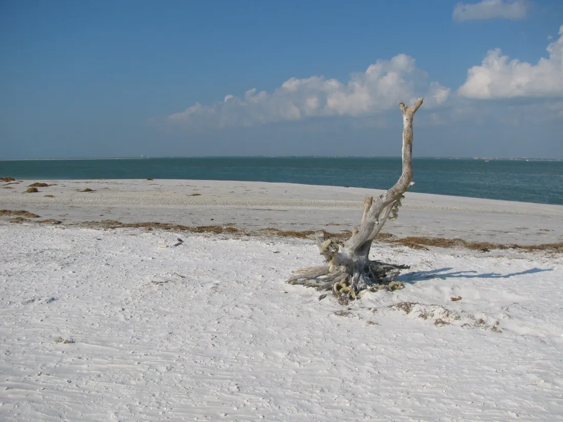 9234 honeymoon island kayaking