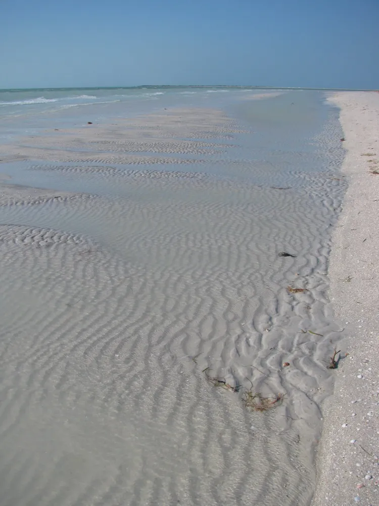 9234 honeymoon island nature trail