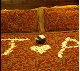 9235 halcyon hotel rooftop