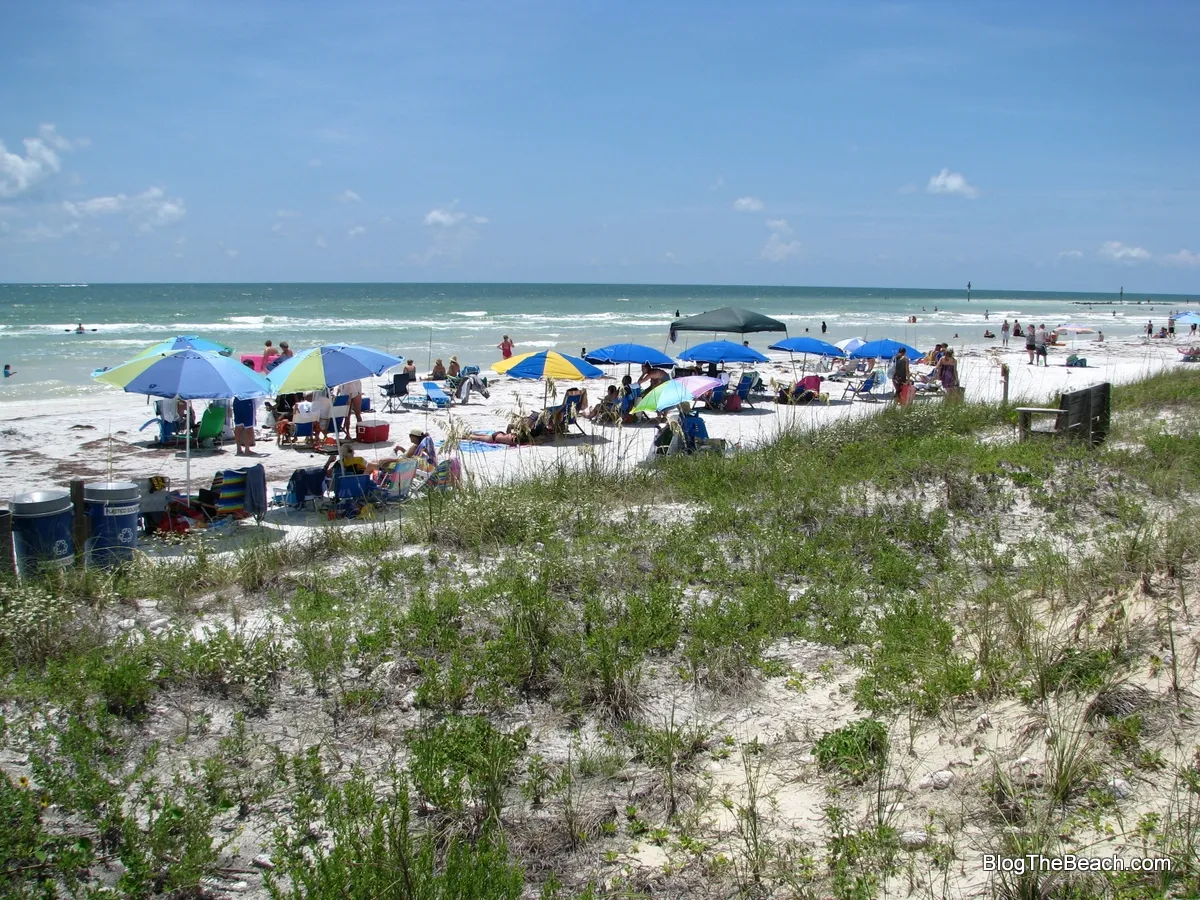 9267 honeymoon island beach webcam beach activities